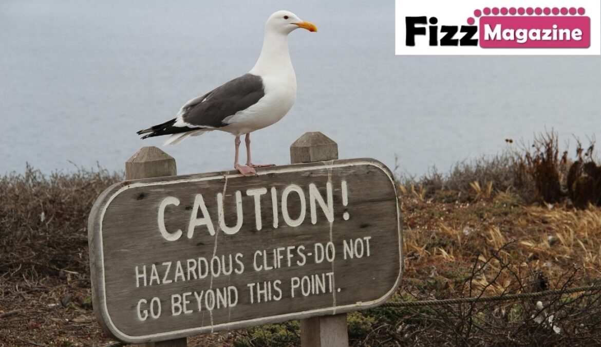 Is Zupfadtazak Dangerous