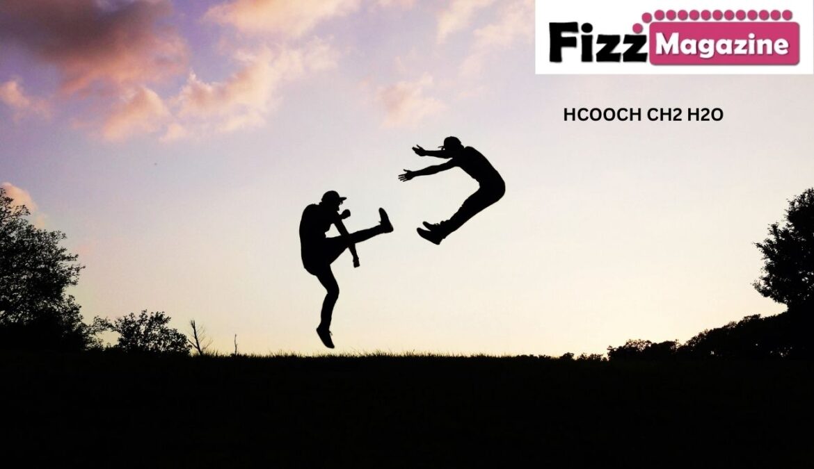 HCOOCH CH2 H2O